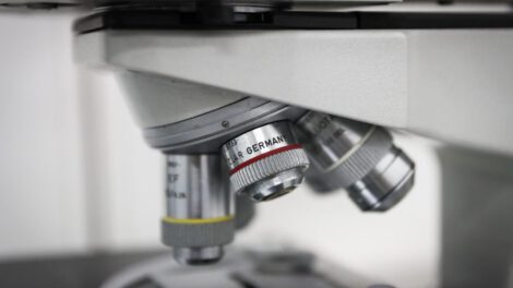 Fotografía de un microscopio en un laboratorio relacionado con la función desconocida en células cerebrales