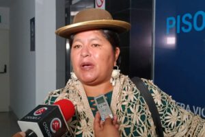 La senadora del MAS, Simona Quispe, acusa al Ejecutivo de frustrar elecciones judiciales