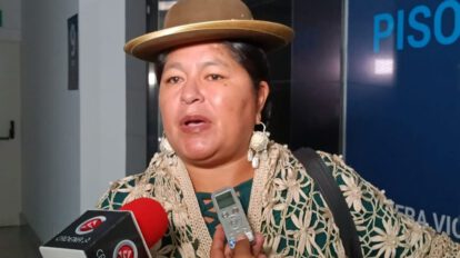 La senadora del MAS, Simona Quispe, acusa al Ejecutivo de frustrar elecciones judiciales