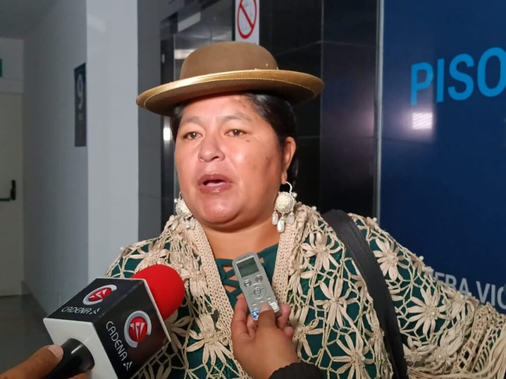 La senadora del MAS, Simona Quispe, acusa al Ejecutivo de frustrar elecciones judiciales