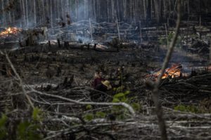 Incendios forestales en Brasil arrasan con una superficie mayor que Uruguay