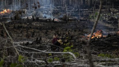 Incendios forestales en Brasil arrasan con una superficie mayor que Uruguay