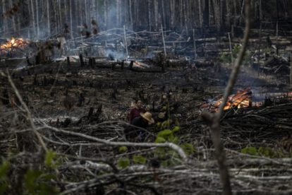 Incendios forestales en Brasil arrasan con una superficie mayor que Uruguay