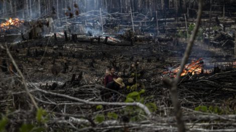 Incendios forestales en Brasil arrasan con una superficie mayor que Uruguay