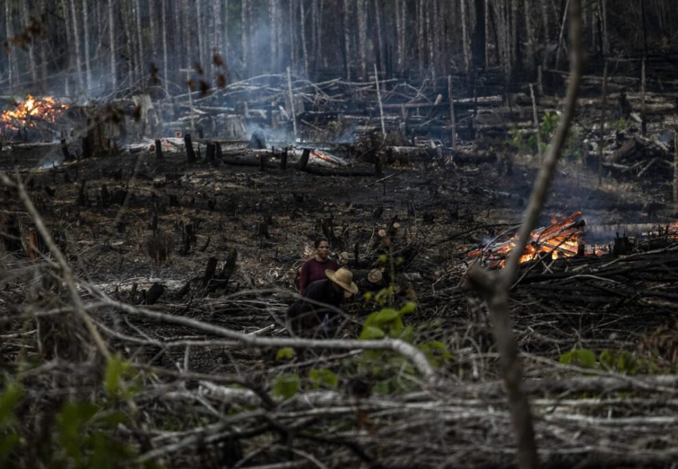 Incendios forestales en Brasil arrasan con una superficie mayor que Uruguay