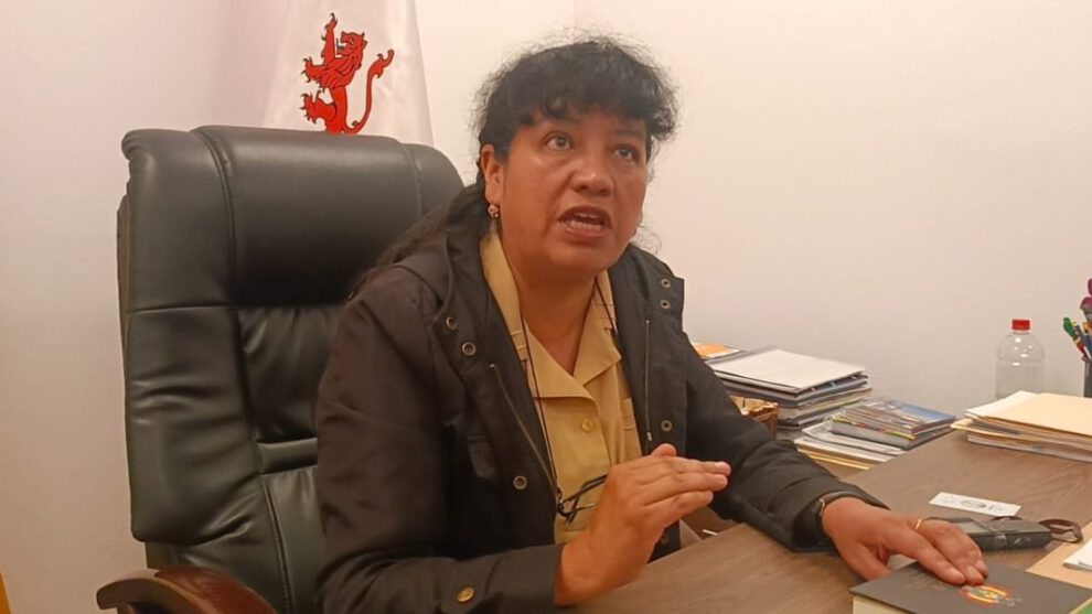 Declaraciones sobre Evo Morales y su rol en conflictos de 2019