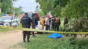 Hombre de 70 años muere tras ser atacado por pitbulls