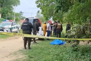 Hombre de 70 años muere tras ser atacado por pitbulls
