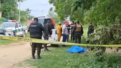Hombre de 70 años muere tras ser atacado por pitbulls