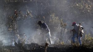 Incendios forestales en Colombia afectan a nueve departamentos