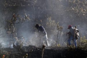 Incendios forestales en Colombia afectan a nueve departamentos