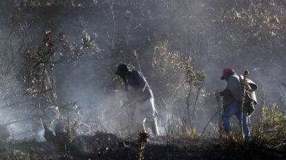 Incendios forestales en Colombia afectan a nueve departamentos