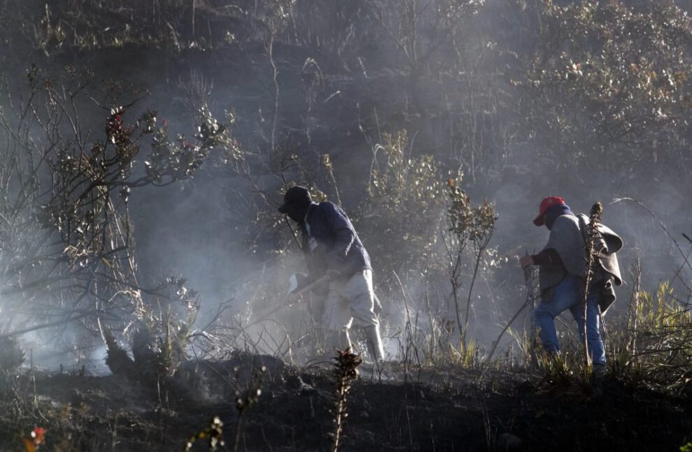 Incendios forestales en Colombia afectan a nueve departamentos