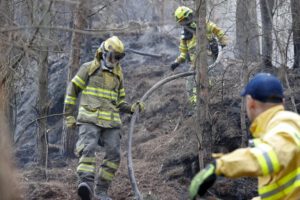 Ayuda internacional para incendios forestales en Colombia