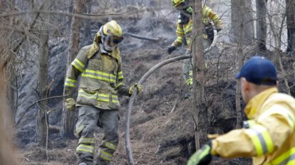 Ayuda internacional para incendios forestales en Colombia