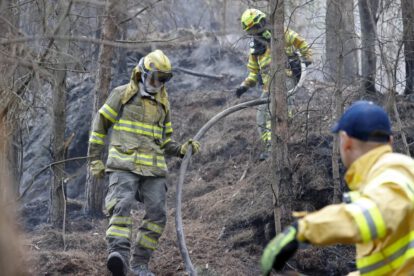 Ayuda internacional para incendios forestales en Colombia
