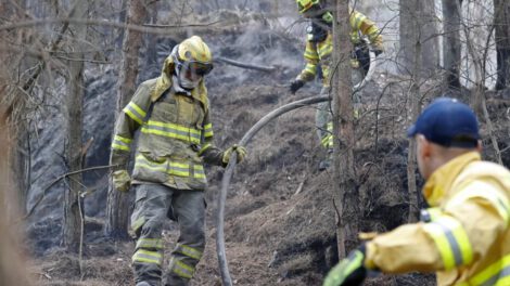 Ayuda internacional para incendios forestales en Colombia
