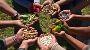 Cooperación Sur-Sur para la seguridad alimentaria en América Latina