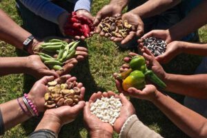 Cooperación Sur-Sur para la seguridad alimentaria en América Latina