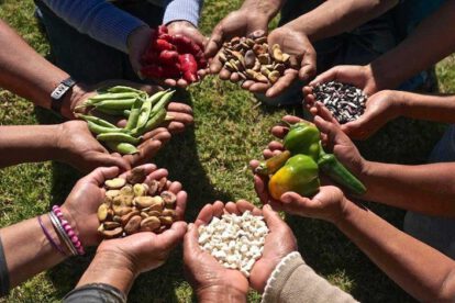 Cooperación Sur-Sur para la seguridad alimentaria en América Latina
