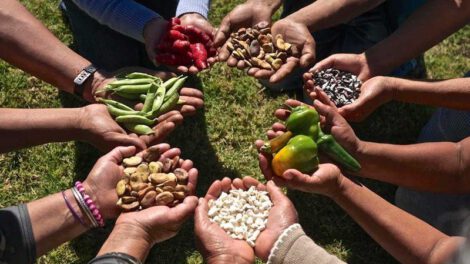 Cooperación Sur-Sur para la seguridad alimentaria en América Latina