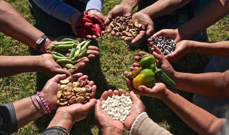 Cooperación Sur-Sur para la seguridad alimentaria en América Latina