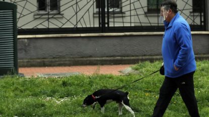 Descuento en impuestos por adoptar perros en Misterbianco