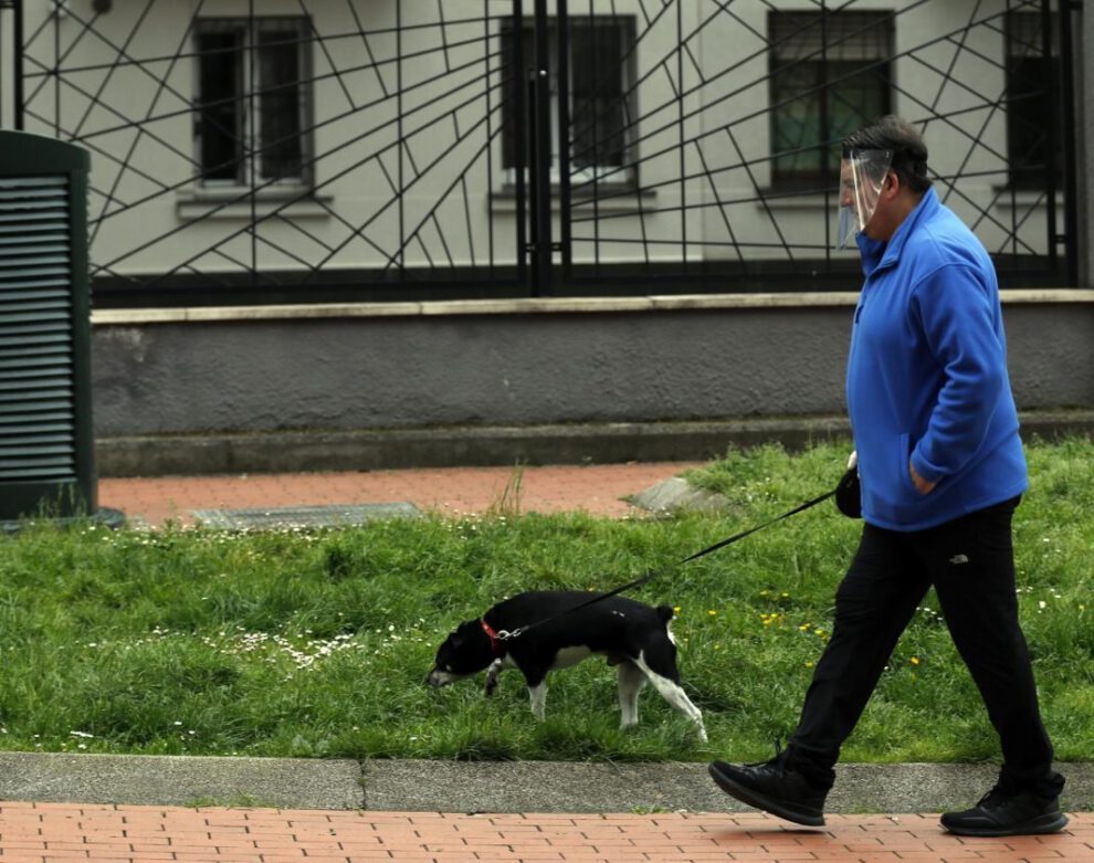 Descuento en impuestos por adoptar perros en Misterbianco