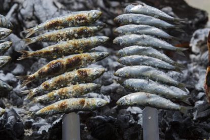 Estudio sobre omega-3 y demencia