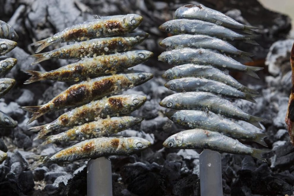 Estudio sobre omega-3 y demencia