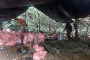 Destrucción de fábricas de cocaína en Villa Tunari