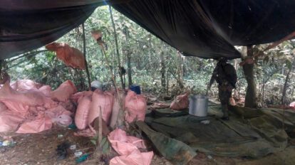 Destrucción de fábricas de cocaína en Villa Tunari