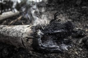 Incendios en la Amazonía brasileña