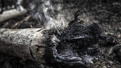Incendios en la Amazonía brasileña