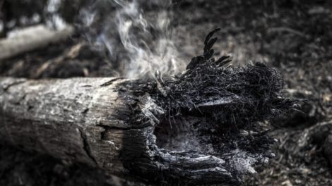 Incendios en la Amazonía brasileña