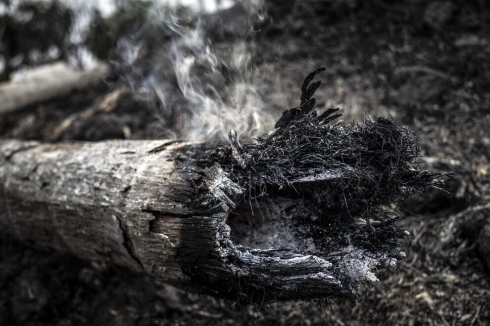 Incendios en la Amazonía brasileña
