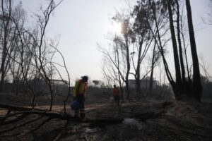 Incendios en Valparaíso: 19 personas fallecen en devastadores incendios