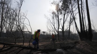 Incendios en Valparaíso: 19 personas fallecen en devastadores incendios