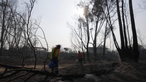 Incendios en Valparaíso: 19 personas fallecen en devastadores incendios