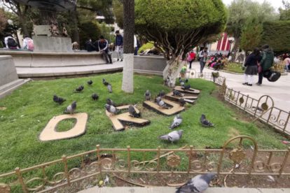 Actos por el 10 de febrero