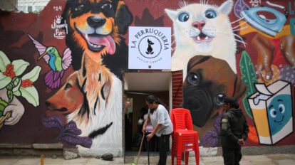 Peluquería canina en prisión para reinserción social