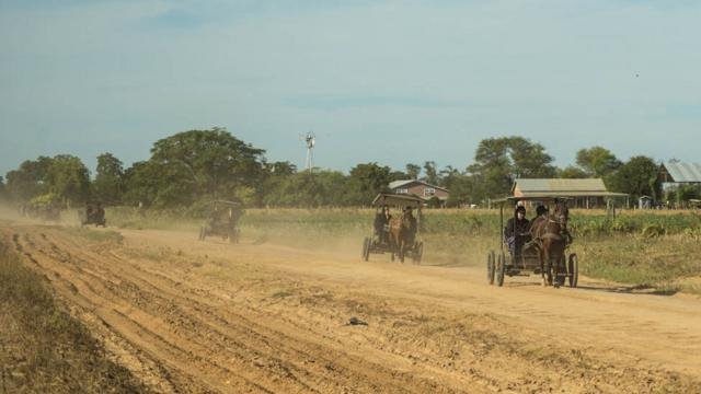 Violación en colonia menonita