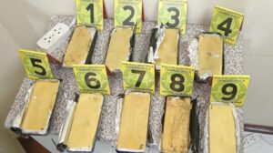 Barras de oro confiscadas en operativo de la Felcn