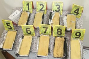 Barras de oro confiscadas en operativo de la Felcn