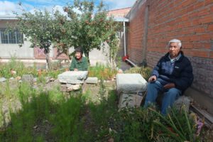 Hermanos Mendieta cultivo choclo en su patio