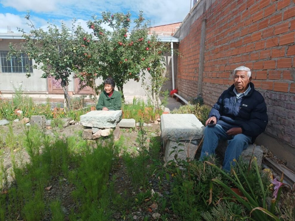 Hermanos Mendieta cultivo choclo en su patio