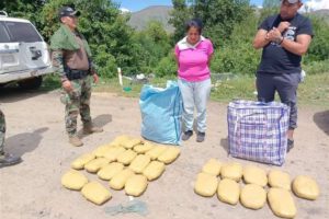 Incautación de marihuana en la ruta Tarija-Bermejo