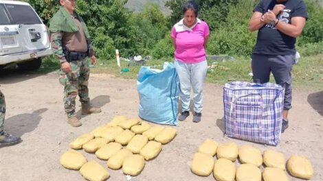 Incautación de marihuana en la ruta Tarija-Bermejo