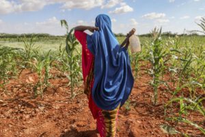Crisis climática en Somalia: sequía y inundaciones devastadoras
