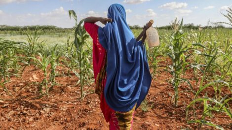 Crisis climática en Somalia: sequía y inundaciones devastadoras